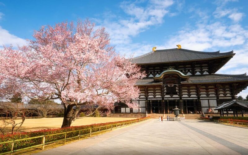 Kyoto/Osaka: Nara Customizable Self-Guided Tour with Driver - The Experience: What This Tour Offers and Why It Matters