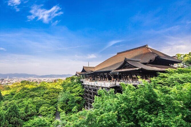 Kyoto, Osaka, Nara Full Day tour by Car English speaking Driver - An In-Depth Look at the Itinerary