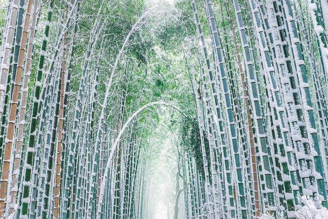 Kyoto, Osaka, Nara Private Tour by Car English Driver Guide - FAQ