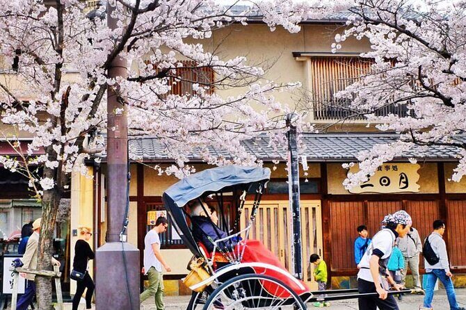 Kyoto Panoramic Day Tour Fushimi Inari Arashiyama and Temples - Key Points