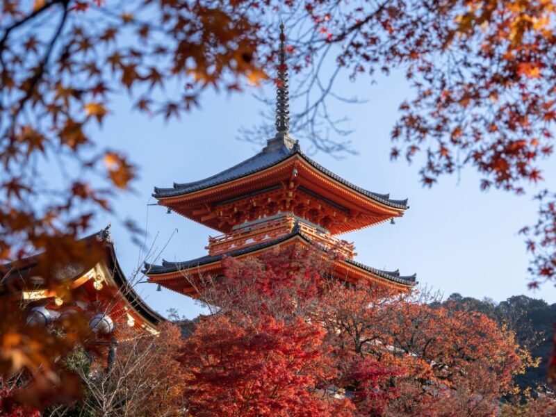 Kyoto: Personalized Guided Private Tour - Exploring Kyoto with a Private, Tailored Approach