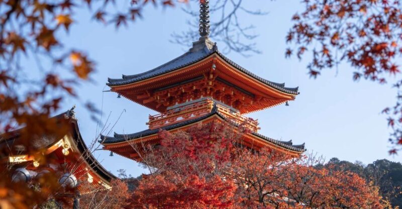 Kyoto: Personalized Guided Private Tour - Guides: The Heart of the Experience