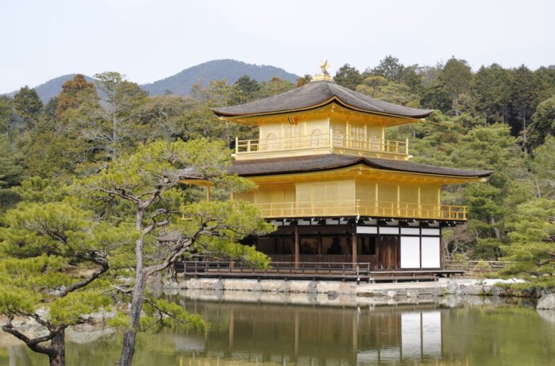 Kyoto: Personalized Guided Private Tour - Practical Tips for Your Tour Day