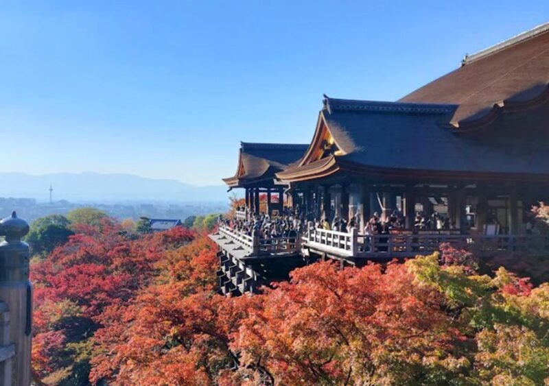 Kyoto: private and customized tour (walking/public transportation) - Key Points