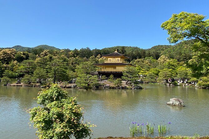 Kyoto Private Car Tour from Osaka to Gion and Fushimi - FAQs