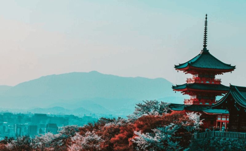 Kyoto : Private Custom Walking Tour With A Local Guide - An In-Depth Look at the Experience