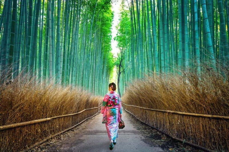 Kyoto: Private Customizable Day Tour with Guide and Vehicle - Key Points