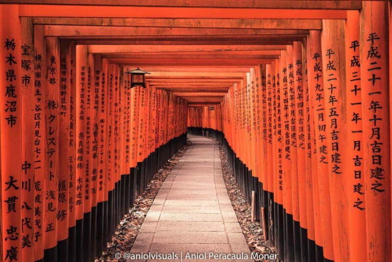 Kyoto: Private Customizable Day Tour with Guide and Vehicle - An In-Depth Look at the Tour Experience