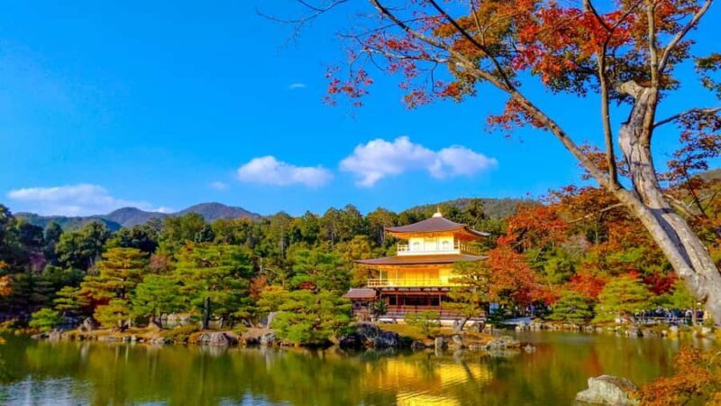 Kyoto: Private Customizable Day Trip by Car - What’s Included and What’s Not?