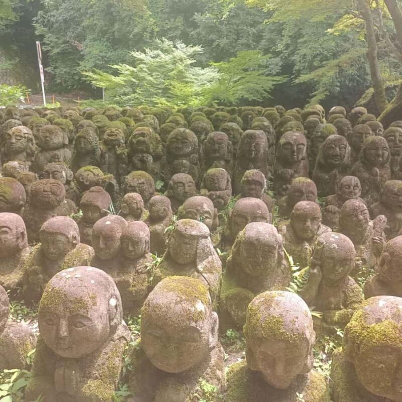 Kyoto: Private Customizable Day Trip by Car - Duration, Timing, and Practical Tips