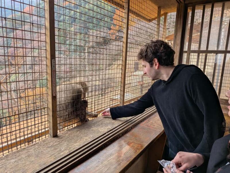 Kyoto: Private Customizable Day Trip by Car - Authentic Experiences and Feedback from Travelers