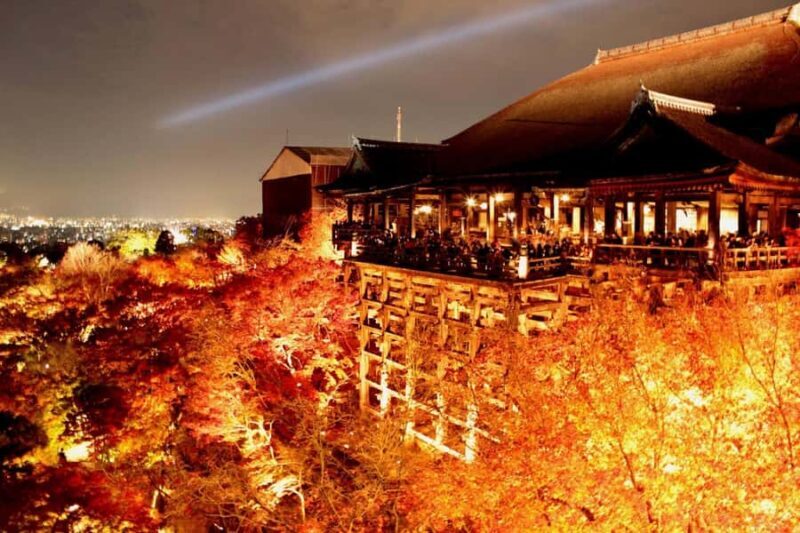 Kyoto: Private Customizable Day Trip by Car - Who Should Consider This Tour?