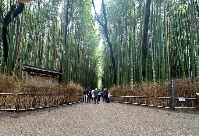 Kyoto Private Customizable Day Trip With English chauffeur - Introduction