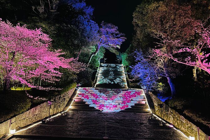 Kyoto Private Customizable Day Trip With English chauffeur - An In-Depth Look at the Tour