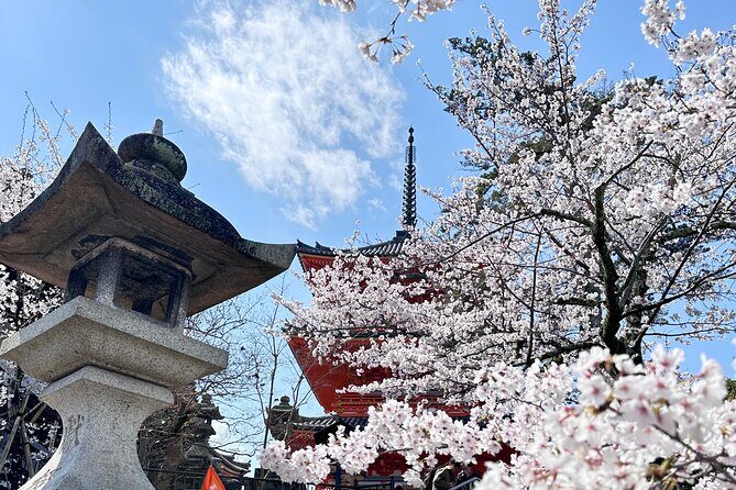 Kyoto Private Customizable Day Trip With English chauffeur - Who Will Love This Tour?