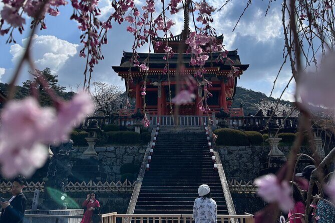 Kyoto Private Customizable Day Trip With English chauffeur - The Sum Up