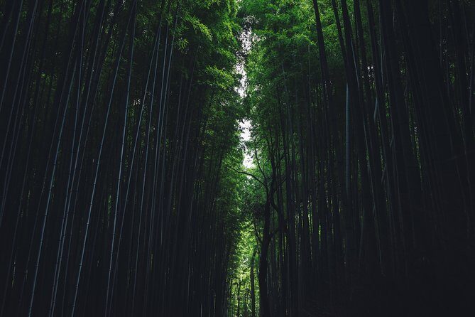 Kyoto Private Customizable Full Day Tour - Key Points