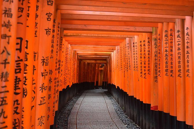 Kyoto Private Customizable Full Day Tour - The Experience: What You Can Expect