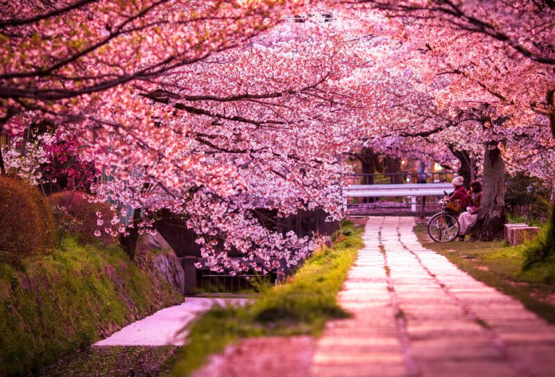 Kyoto: Private Customizable Guided tour with Luxury Vehicle - An In-Depth Look at the Kyoto Private Customizable Tour