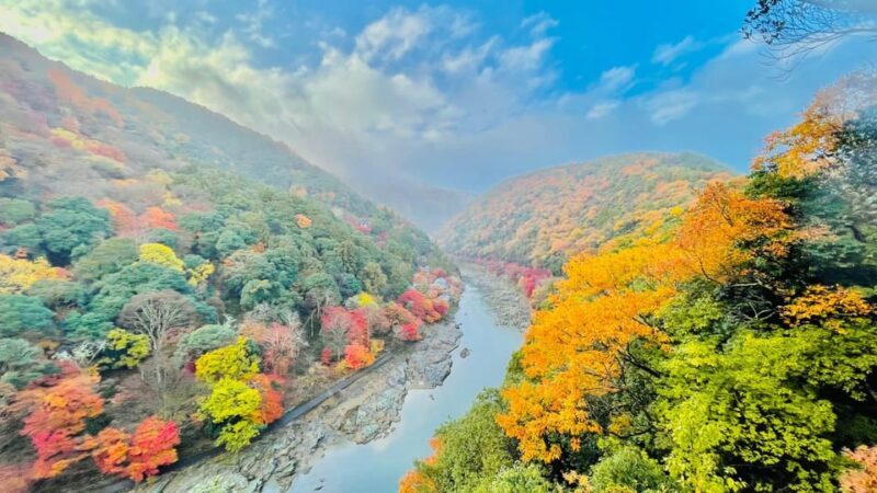 Kyoto: Private Customizable Guided tour with Luxury Vehicle - Who Should Consider This Tour?