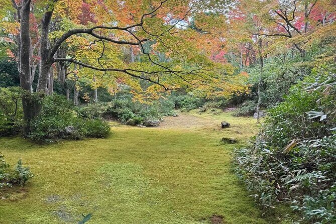 Kyoto Private & Customizable Tour with English-Speaking Driver - What Makes This Tour Stand Out?