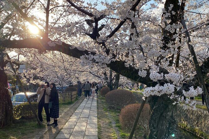 Kyoto Private & Customizable Tour with English-Speaking Driver - Who Will Love This Tour?