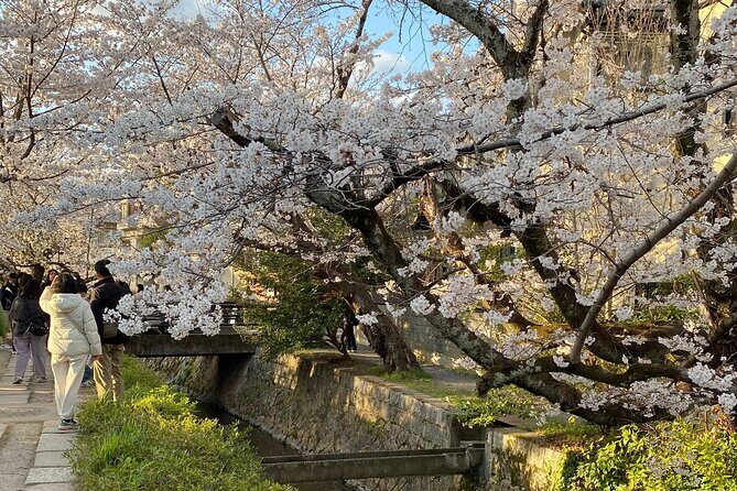 Kyoto Private & Customizable Tour with English-Speaking Driver - FAQs