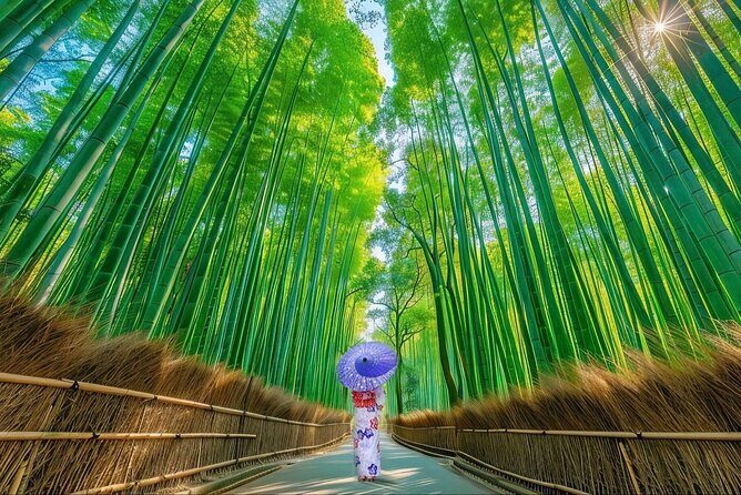 Kyoto Private Customized Day Tour with Guide - Exploring Kyoto in Style: A Detailed Look at the Private Day Tour