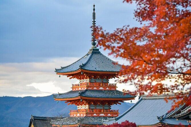 Kyoto Private Customized Day Tour with Guide - Authentic Experiences and the Value of Local Guides