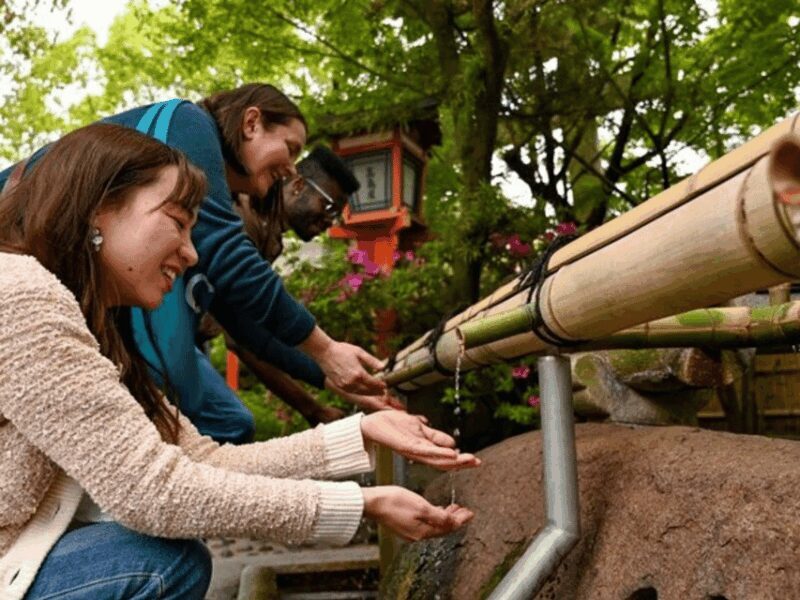 Kyoto: Private Customized Walking Tour with a Local Insider - Key Points