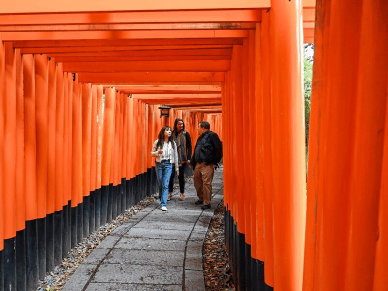 Kyoto: Private Customized Walking Tour with a Local Insider - What to Expect from Your Custom Kyoto Walking Tour