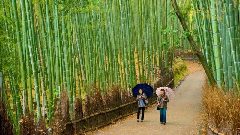 Kyoto: Private Day Tour with English-Speaking Driver - FAQs