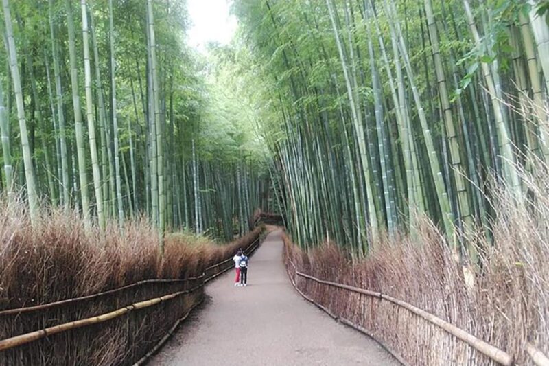 Kyoto: Private Full-Day Early Riser Platinum Walking Tour - An In-Depth Look at the Kyoto Full-Day Tour