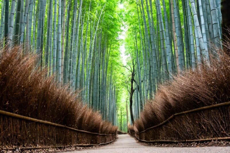 Kyoto: Private Full-Day Tour by Car - In The Sum Up