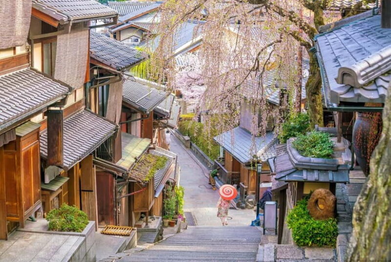 Kyoto: Private Highlights Tour with Guide and Luxury Vehicle - Pricing and Value
