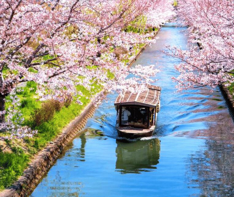Kyoto: Private Highlights Tour with Guide and Luxury Vehicle - Who Should Consider This Tour?