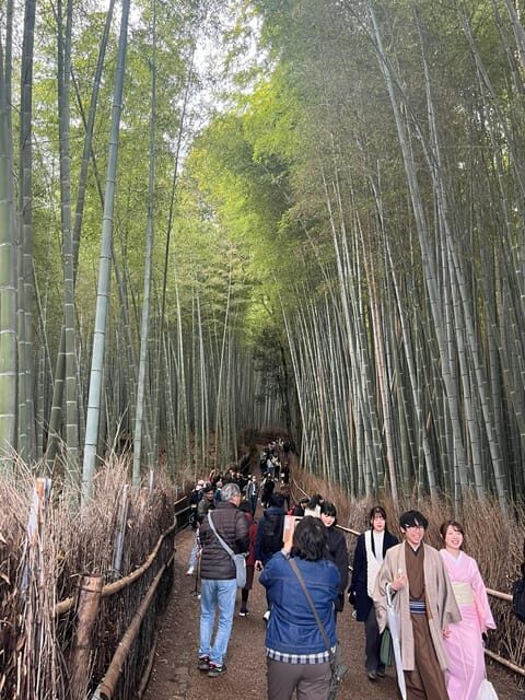Kyoto: Private tour, Arashiyama, Bamboo Forests and Sacred Temples - FAQ