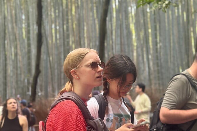Kyoto private tour |english speaking driver only : No guide - Exploring Kyoto in Comfort and Style
