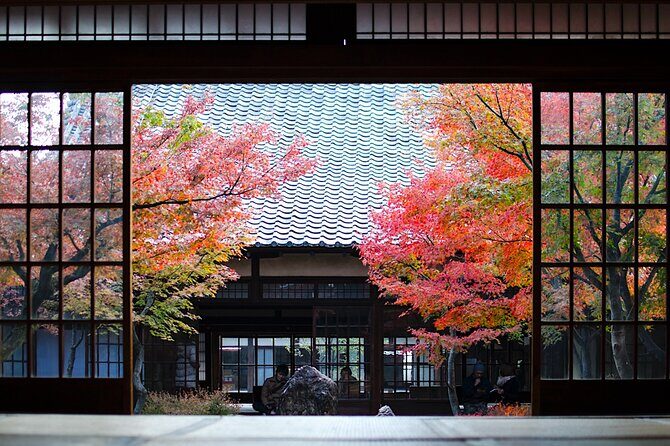 Kyoto Private Tour: One Day Highlights and Cultural Gems - Key Points