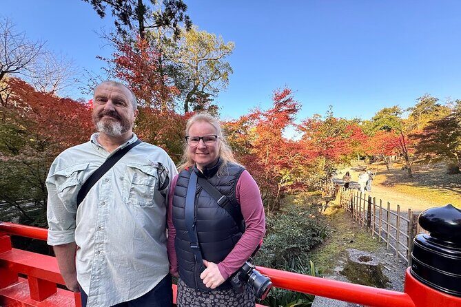 Kyoto Private Tour: One Day Highlights and Cultural Gems - An In-Depth Look at the Kyoto Private Tour