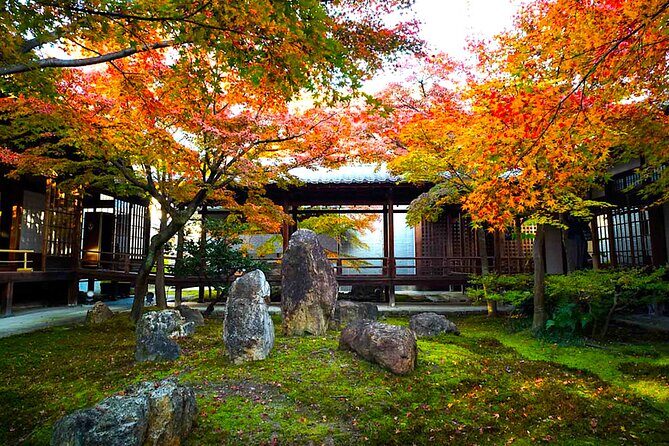 Kyoto Private Tour: One Day Highlights and Cultural Gems - The Sum Up