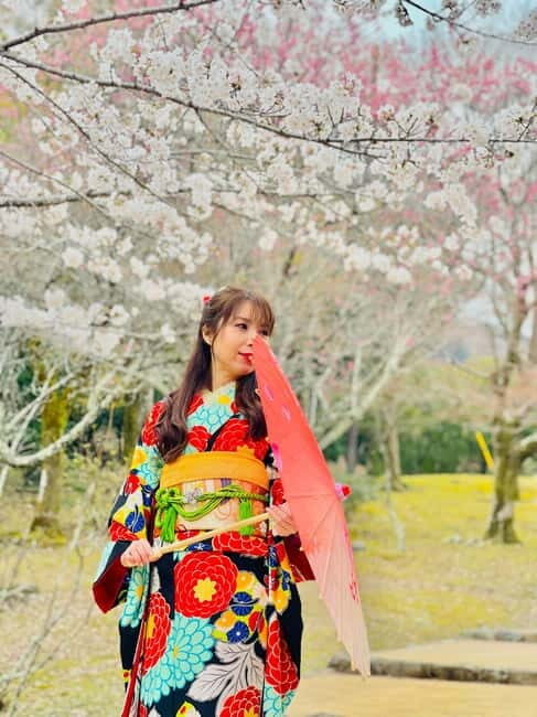 Kyoto Private Tour with English Guide & Pickup (Osaka-Kyoto) - What’s Included and What to Bring