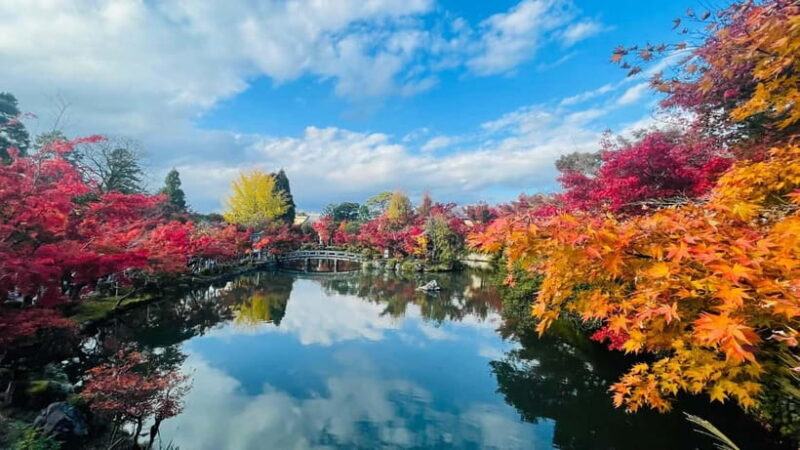 Kyoto Private Tour with English Guide & Pickup (Osaka-Kyoto) - Who Should Consider This Tour?