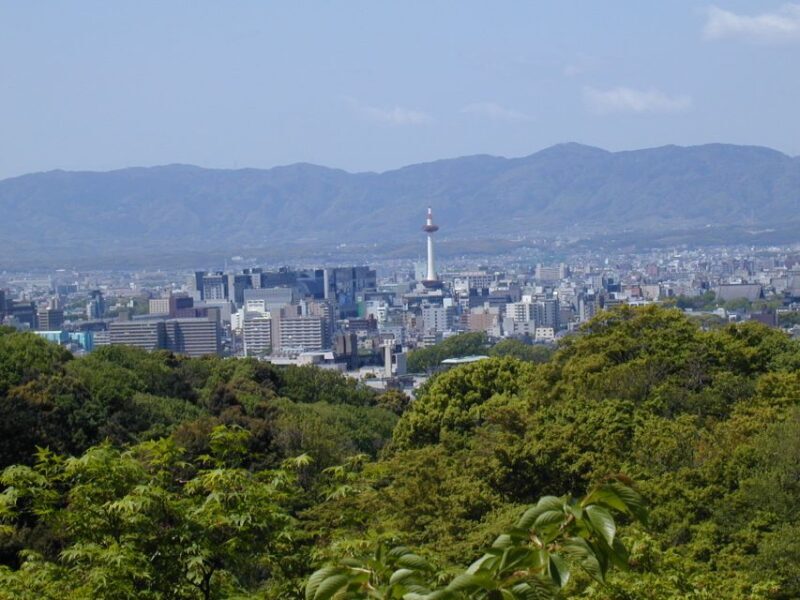 Kyoto: Private Tour with Local Licensed Guide - Why Choose This Kyoto Private Tour?