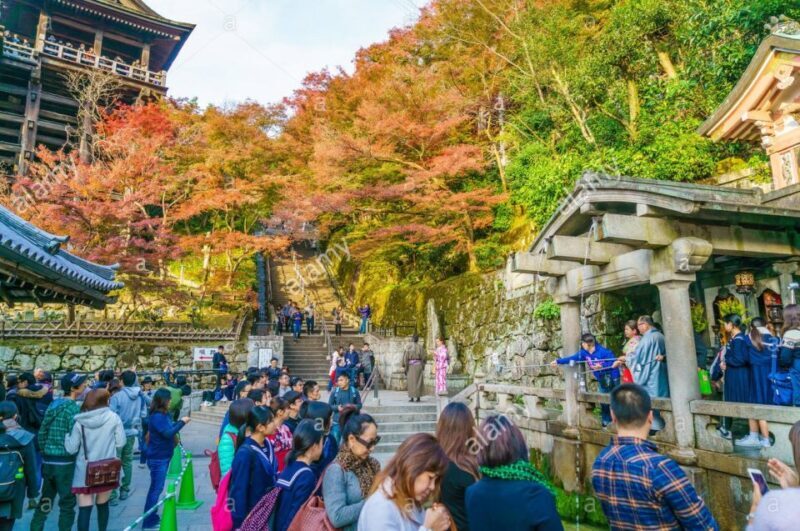 Kyoto: Private Tour with Local Licensed Guide - What Makes This Tour Stand Out?