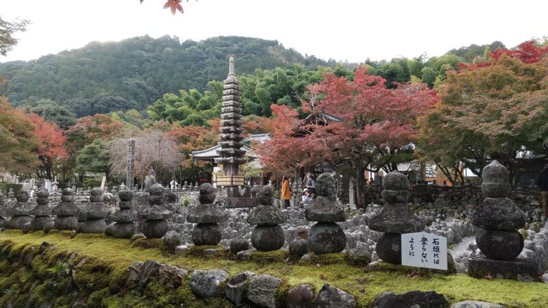 Kyoto: Quiet Arashiyama and Sagano Temples Guided Tour - An In-Depth Look at the Experience