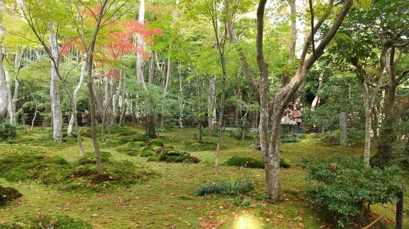 Kyoto: Quiet Arashiyama and Sagano Temples Guided Tour - Practical Details