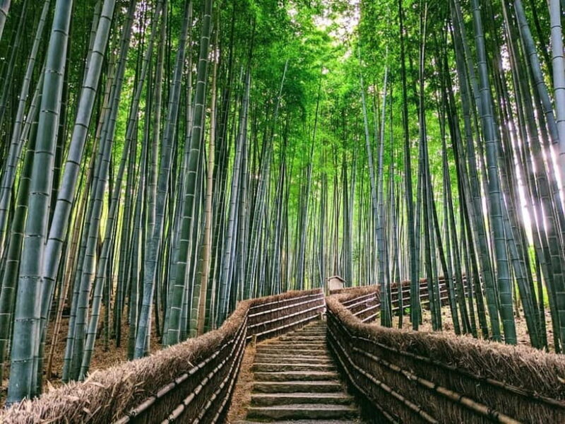 Kyoto: Quiet Arashiyama and Sagano Temples Guided Tour - Who Will Love This Tour?