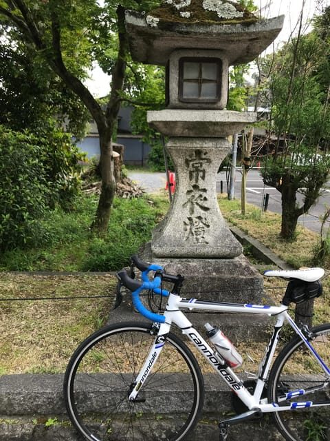 Kyoto: Rent a Road Bike in Kyoto and return in Osaka! - An Active Way to Explore Kyoto and Osaka