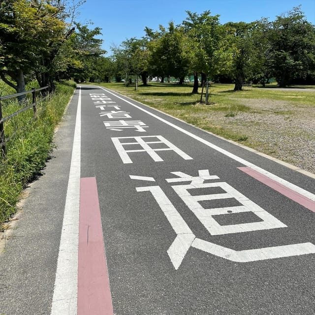 Kyoto: Rent a Road Bike in Kyoto and return in Osaka! - FAQs